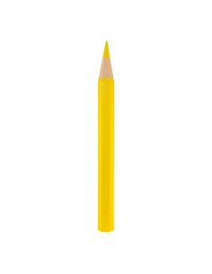 Lápiz de color para la decoración de verano en escaparates de tiendas o comercios 2
