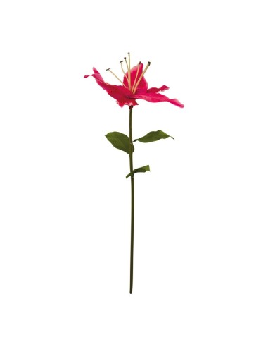 Lirio con tallo para la decoración en del día de los enamorados