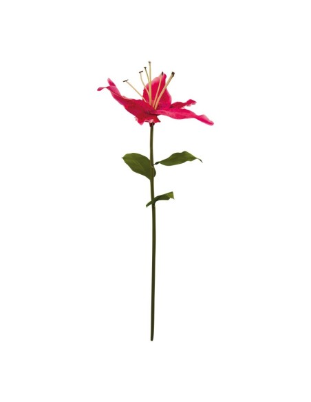 Lirio con tallo para la decoración en del día de los enamorados