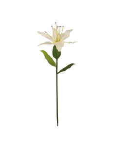 Lirio con tallo para la decoración en del día de los enamorados 2