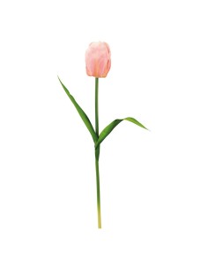 Tulipán con tallo para la decoración de verano en escaparates de tiendas o comercios 2
