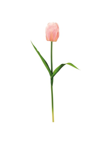 Tulipán con tallo para la decoración de verano en escaparates de tiendas o comercios