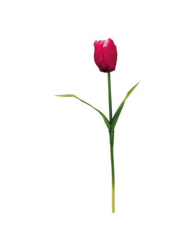 Tulipán con tallo para la decoración de verano en escaparates de tiendas o comercios