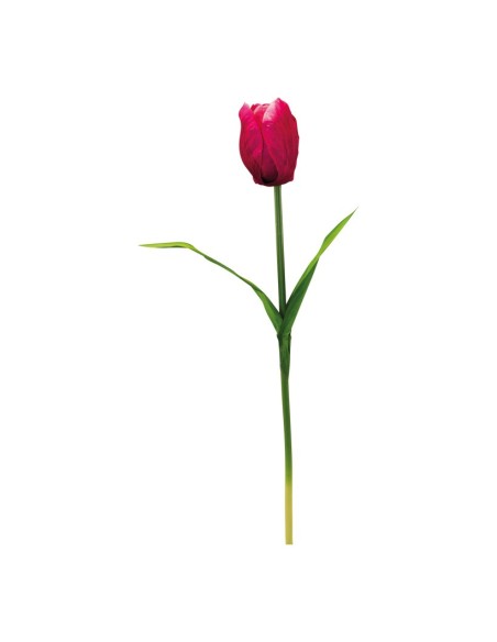 Tulipán con tallo para la decoración de verano en escaparates de tiendas o comercios