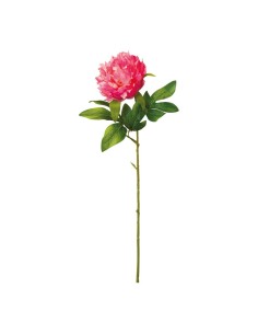 Peonía con tallo para la decoración en del día de los enamorados 2
