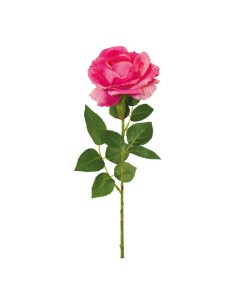 Rosa con tallo para la decoración en del día de los enamorados 2