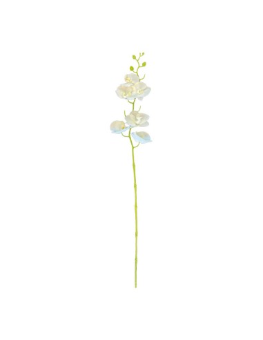Orquídea con tallo para la decoración de verano en escaparates de tiendas o comercios