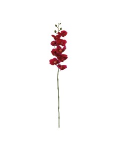 Orquídea con tallo para la decoración de verano en escaparates de tiendas o comercios 2