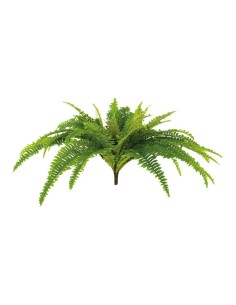 Arbusto de helecho para la decoración de verano en escaparates de tiendas o comercios 2