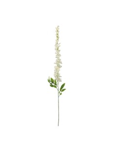 Aerosol de glicina para la decoración de verano en escaparates de tiendas o comercios 2