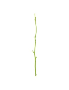 Ramita de madera para la decoración de verano en escaparates de tiendas o comercios 2