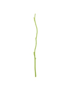 Ramita de madera para la decoración de verano en escaparates de tiendas o comercios 2
