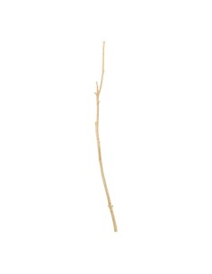 Ramita de madera para la decoración de verano en escaparates de tiendas o comercios 2