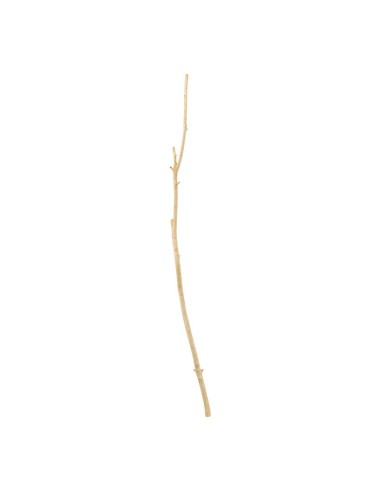 Ramita de madera para la decoración de verano en escaparates de tiendas o comercios