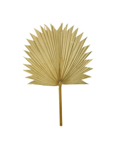 Hoja de palma para la decoración de verano en escaparates de tiendas o comercios