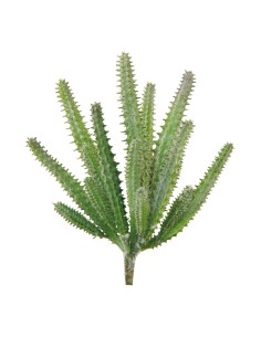Cactus para la decoración de verano en escaparates de tiendas o comercios 2