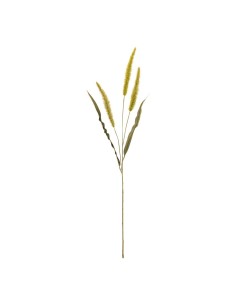 Rama de la umbela para la decoración de verano en escaparates de tiendas o comercios 2