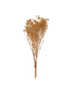 Flores secas para la decoración de verano en escaparates de tiendas o comercios 2