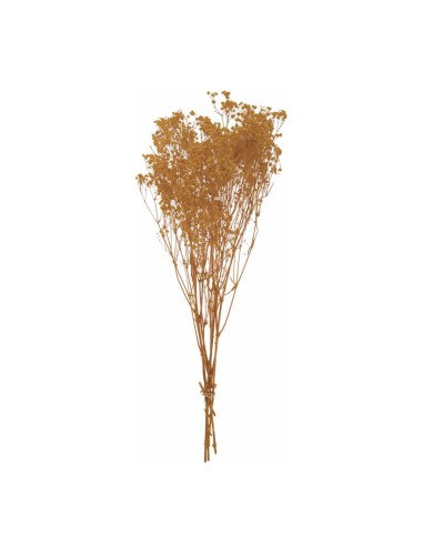Flores secas para la decoración de verano en escaparates de tiendas o comercios
