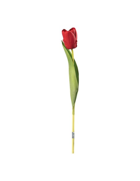 Tulipán en tallo para la decoración de verano en escaparates de tiendas o comercios
