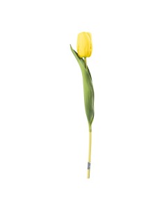 Tulipán en tallo para la decoración de verano en escaparates de tiendas o comercios 2