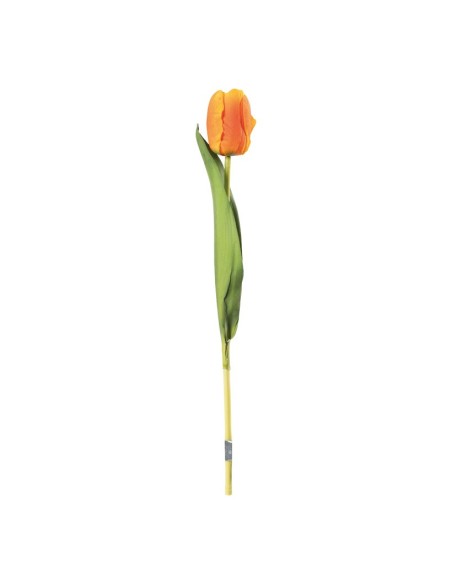 Tulipán en tallo para la decoración de verano en escaparates de tiendas o comercios