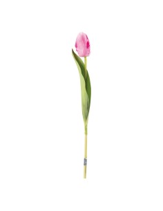 Tulipán en tallo para la decoración de verano en escaparates de tiendas o comercios 2
