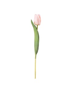 Tulipán en tallo para la decoración de verano en escaparates de tiendas o comercios 2