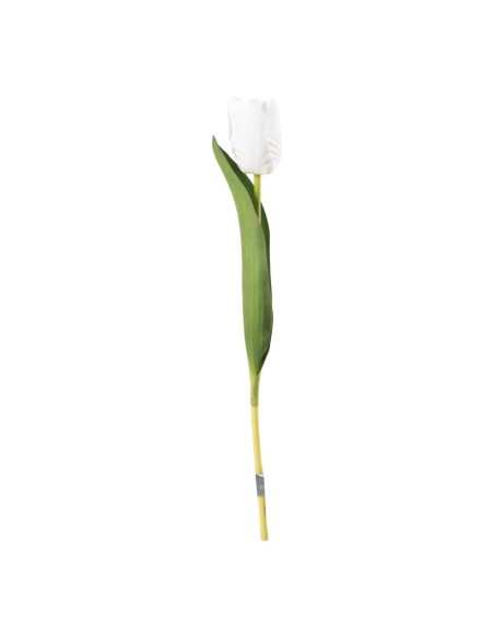 Tulipán en tallo para la decoración de verano en escaparates de tiendas o comercios
