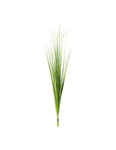 Arbusto de hierba para la decoración de verano en escaparates de tiendas o comercios 2