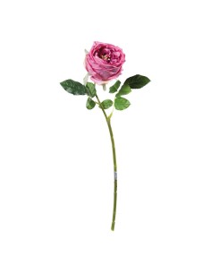 Rosa para la decoración en del día de los enamorados 2