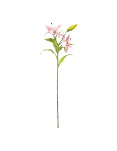 Flor del lirio para la decoración de verano en escaparates de tiendas o comercios 2