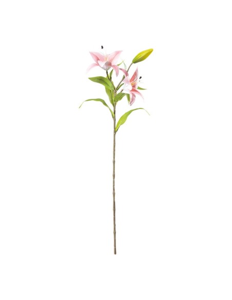 Flor del lirio para la decoración de verano en escaparates de tiendas o comercios