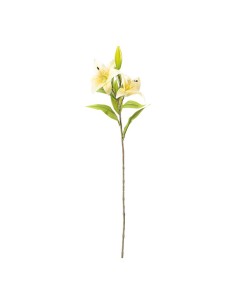 Flor del lirio para la decoración de verano en escaparates de tiendas o comercios 2
