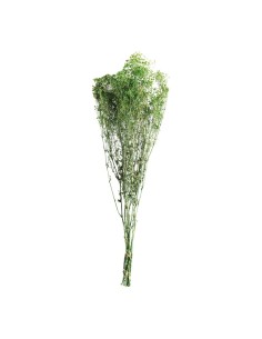 Paquete de secado para la decoración de verano en escaparates de tiendas o comercios 2