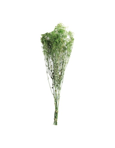 Paquete de secado para la decoración de verano en escaparates de tiendas o comercios