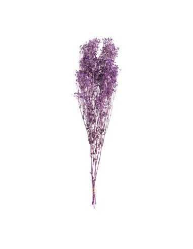 Paquete de secado para la decoración de verano en escaparates de tiendas o comercios
