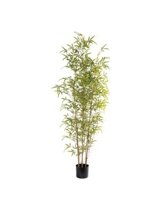 Árbol de bambú para la decoración de verano en escaparates de tiendas o comercios 2