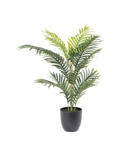 Palma areca para la decoración de verano en escaparates de tiendas o comercios 2