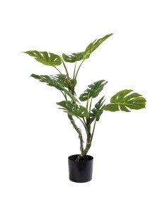 Monstruosa para la decoración de verano en escaparates de tiendas o comercios 2