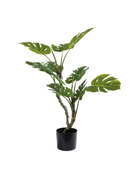 Monstruosa para la decoración de verano en escaparates de tiendas o comercios