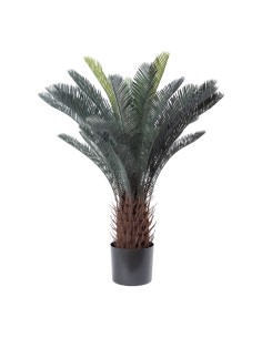 Palma de sagú de cícadas en maceta para la decoración de verano en escaparates de tiendas o comercios 2