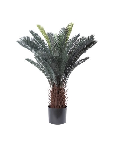 Palma de sagú de cícadas en maceta para la decoración de verano en escaparates de tiendas o comercios