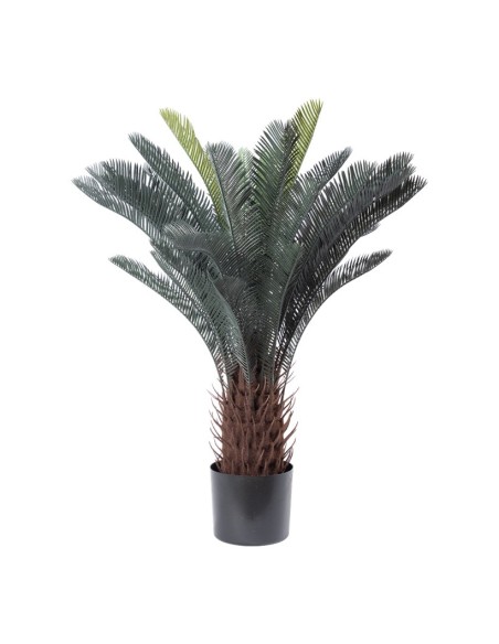 Palma de sagú de cícadas en maceta para la decoración de verano en escaparates de tiendas o comercios