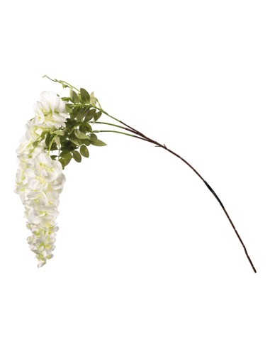 Rama de wisteria laburnum para la decoración de verano en escaparates de tiendas o comercios