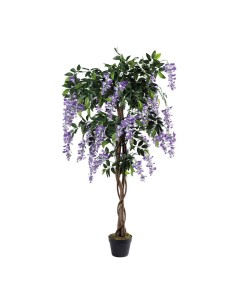 Árbol de glicina en maceta para la decoración de verano en escaparates de tiendas o comercios 2