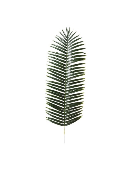 Hoja de palma para la decoración de verano en escaparates de tiendas o comercios