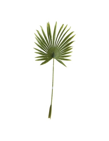 Hoja de palma de abanico para la decoración de verano en escaparates de tiendas o comercios