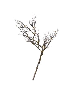 Rama con musgo para la decoración de verano en escaparates de tiendas o comercios 2