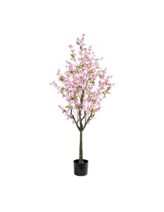 Cerezo en flor en maceta para la decoración de verano en escaparates de tiendas o comercios 2